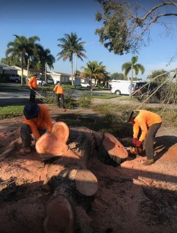 Professional landscape design experts serving Lauderdale Lakes, FL - AR Maintenance Solutions