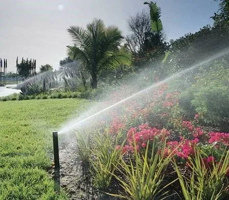 Expert garden landscaping in Lauderdale Lakes, FL by AR Maintenance Solutions