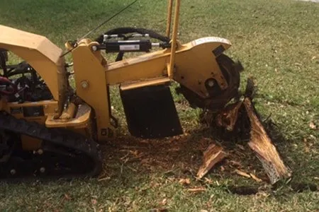 Expert lawn mowing service experts serving Lauderdale Lakes, FL - AR Maintenance Solutions