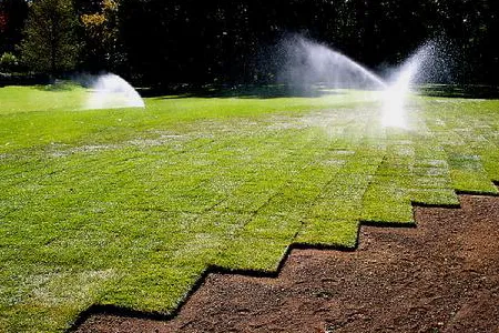 Trusted yard maintenance for year-round maintenance across Lauderdale Lakes, FL - AR Maintenance Solutions