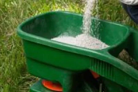 Professional lawn care service in Lauderdale Lakes, FL - AR Maintenance Solutions