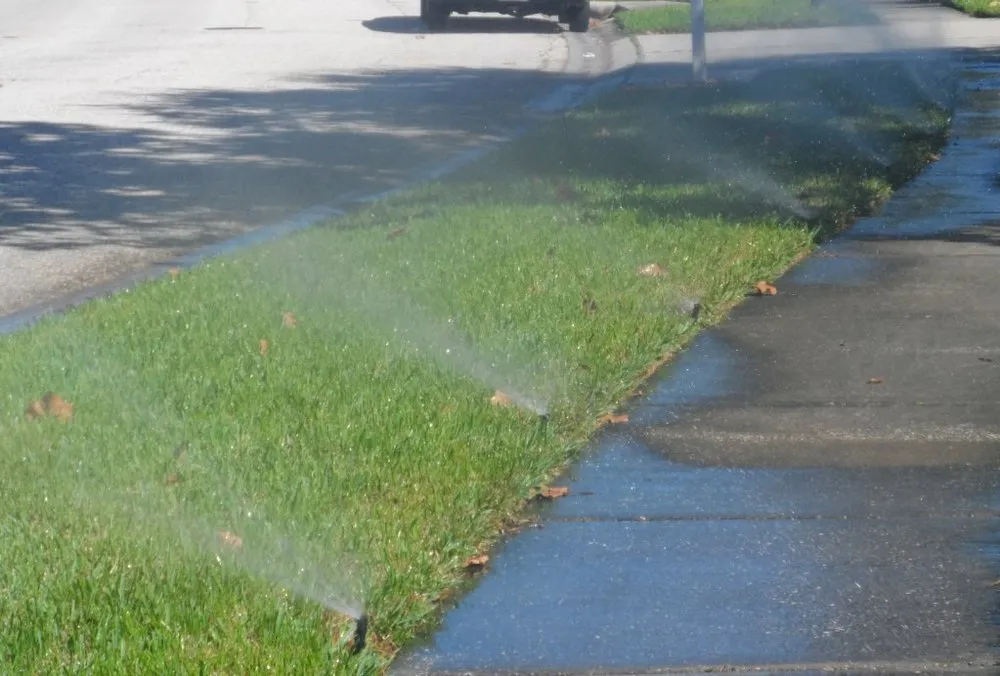 Custom residential landscaping experts serving Lauderdale Lakes, FL - AR Maintenance Solutions