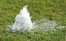 Affordable yard cleanup service in Lauderdale Lakes, FL - AR Maintenance Solutions