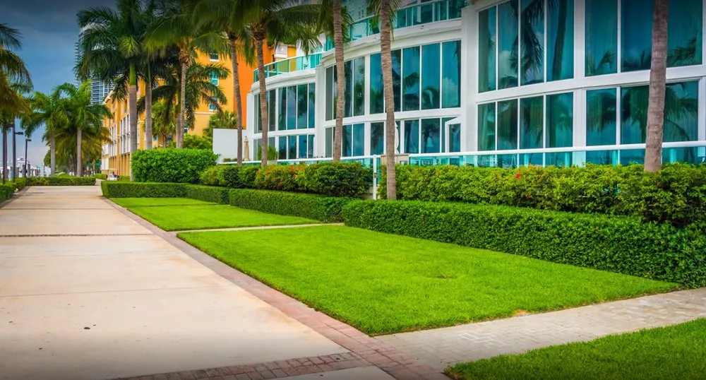 Trusted outdoor landscaping for homes across Lauderdale Lakes, FL - AR Maintenance Solutions