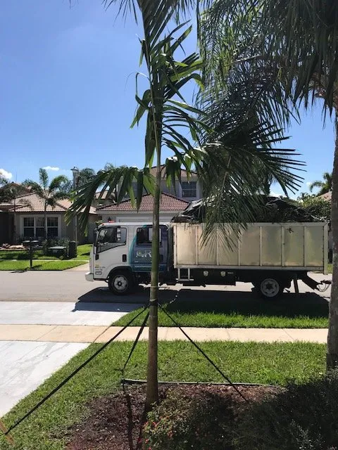 Expert lawn care service in Lauderdale Lakes, FL by AR Maintenance Solutions