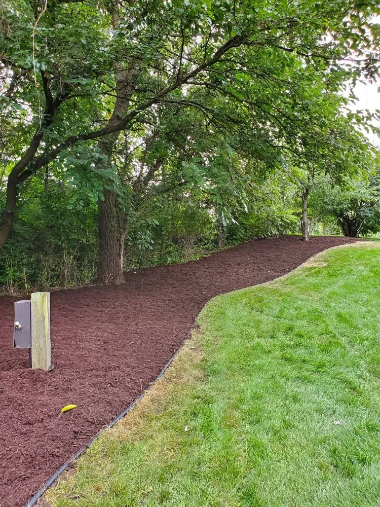 Professional residential landscaping with custom design across Joliet, IL - A&R morenos landscaping