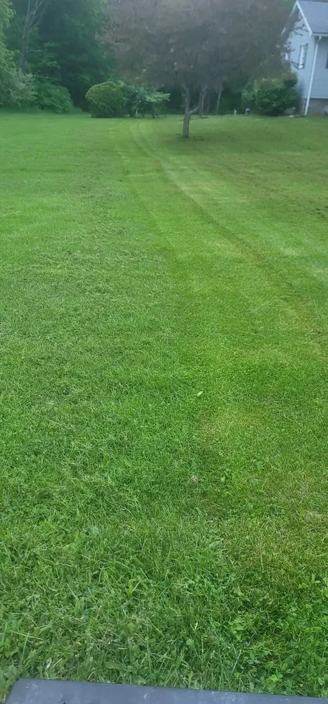 Expert residential landscaping for year-round maintenance across Stevensville, PA - A&R Mowing
