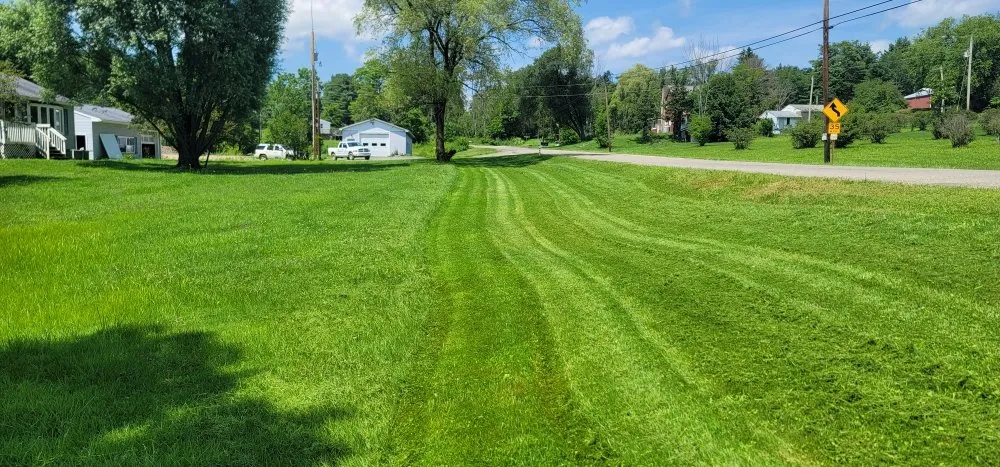 Reliable yard cleanup service in Stevensville, PA by A&R Mowing