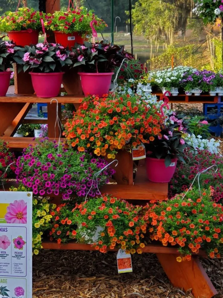 Local residential landscaping experts serving Dover, FL - AR Nursery