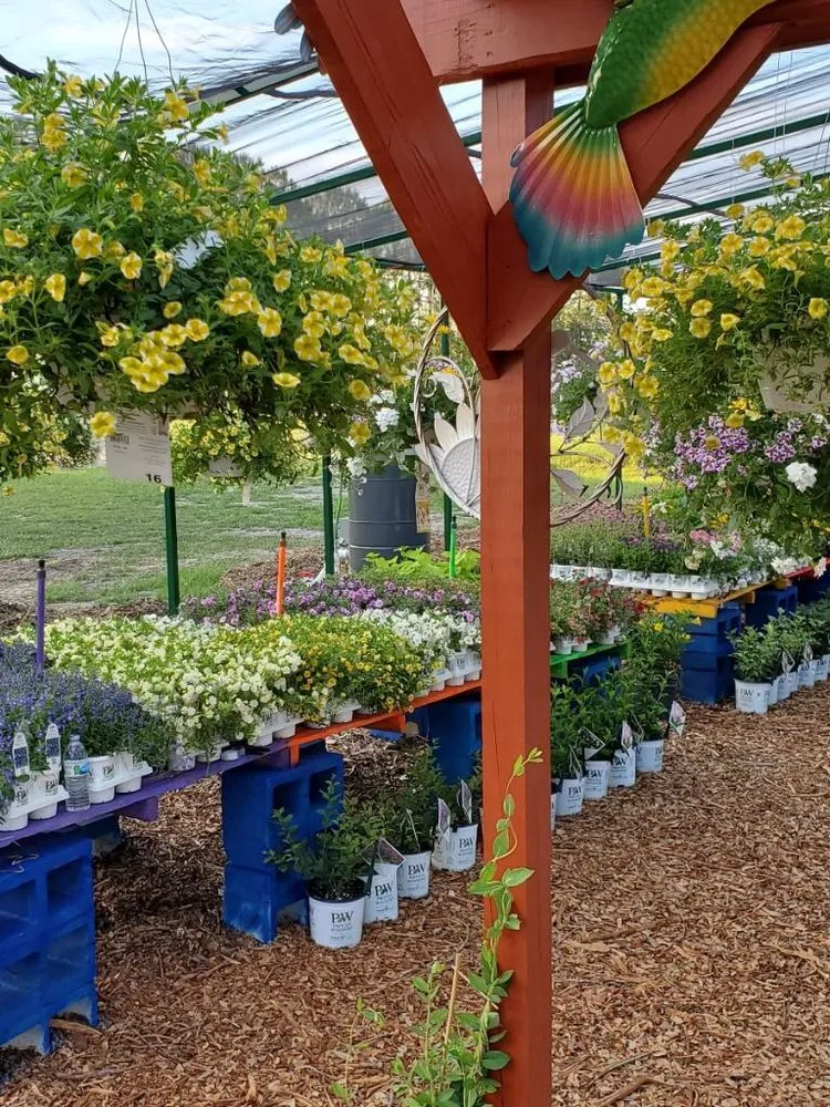 Local residential landscaping with custom design across Dover, FL - AR Nursery