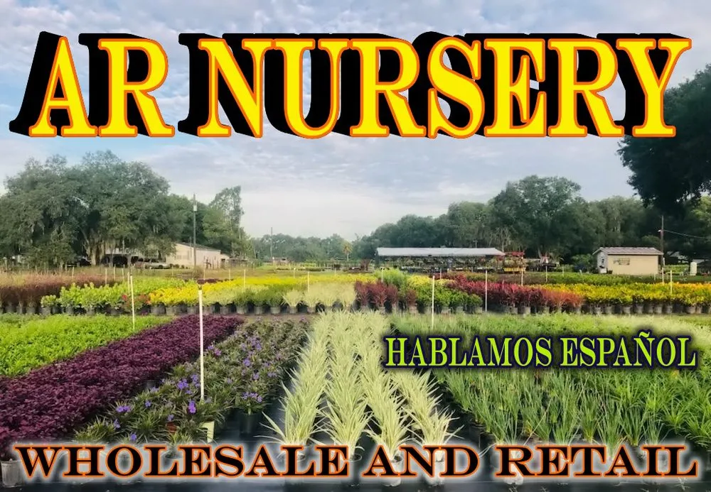 Trusted lawn care service for beautiful yards across Dover, FL - AR Nursery
