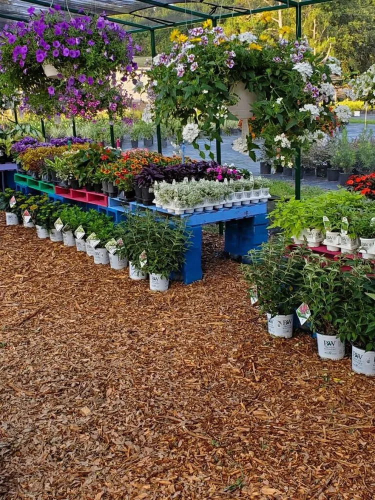 Local landscape installation for outdoor upgrades across Dover, FL - AR Nursery