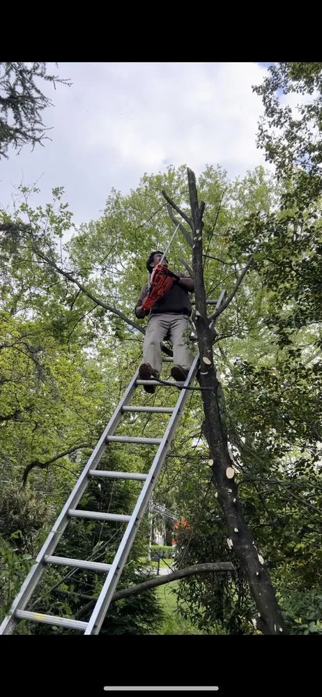 Expert lawn mowing service for beautiful yards across Stockton, CA - A.R Outdoor Services