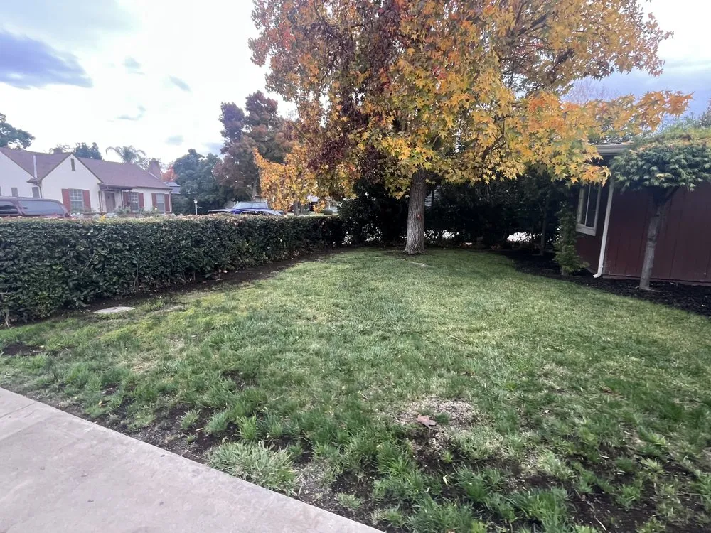 Custom yard maintenance experts serving Stockton, CA - A.R Outdoor Services