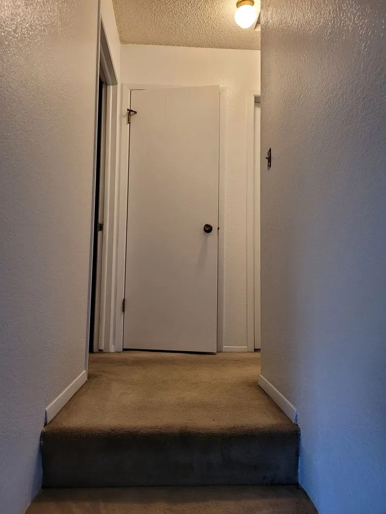 Local yard maintenance experts serving Orofino, ID - AR Painting And More