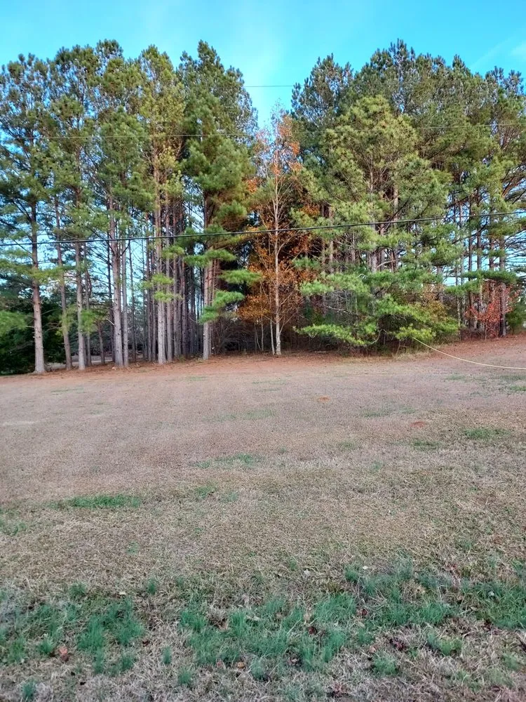 Professional yard cleanup service for outdoor upgrades in Barnesville, GA by AR Property Solutions