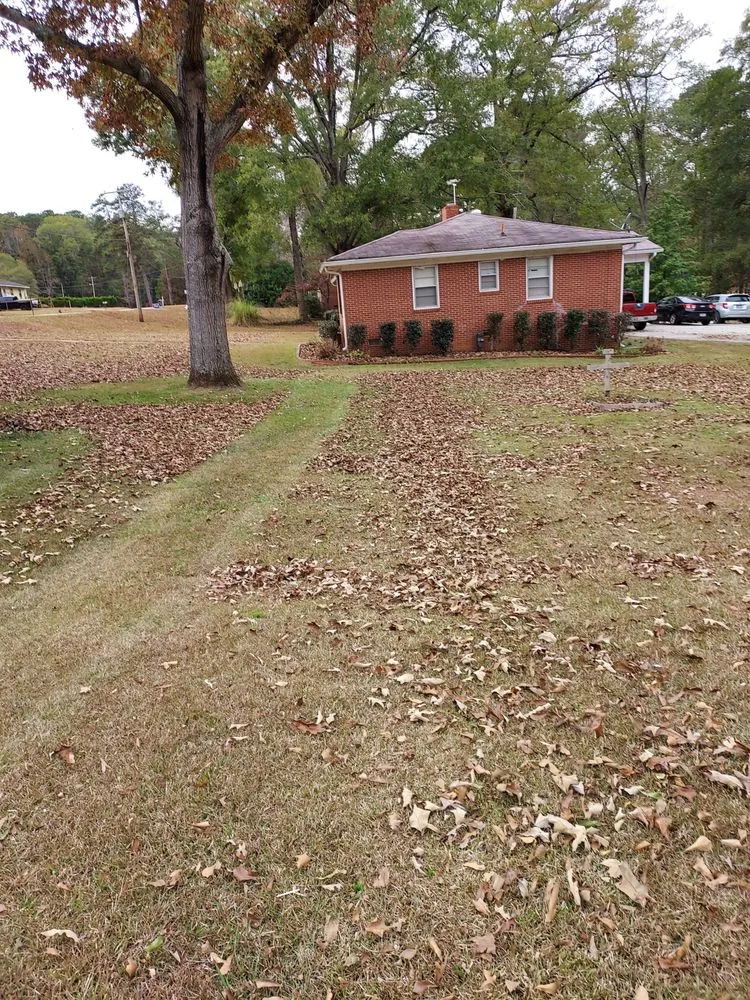 Custom yard cleanup service experts serving Barnesville, GA - AR Property Solutions