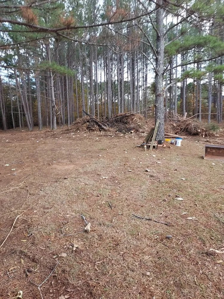 Local residential landscaping in Barnesville, GA - AR Property Solutions