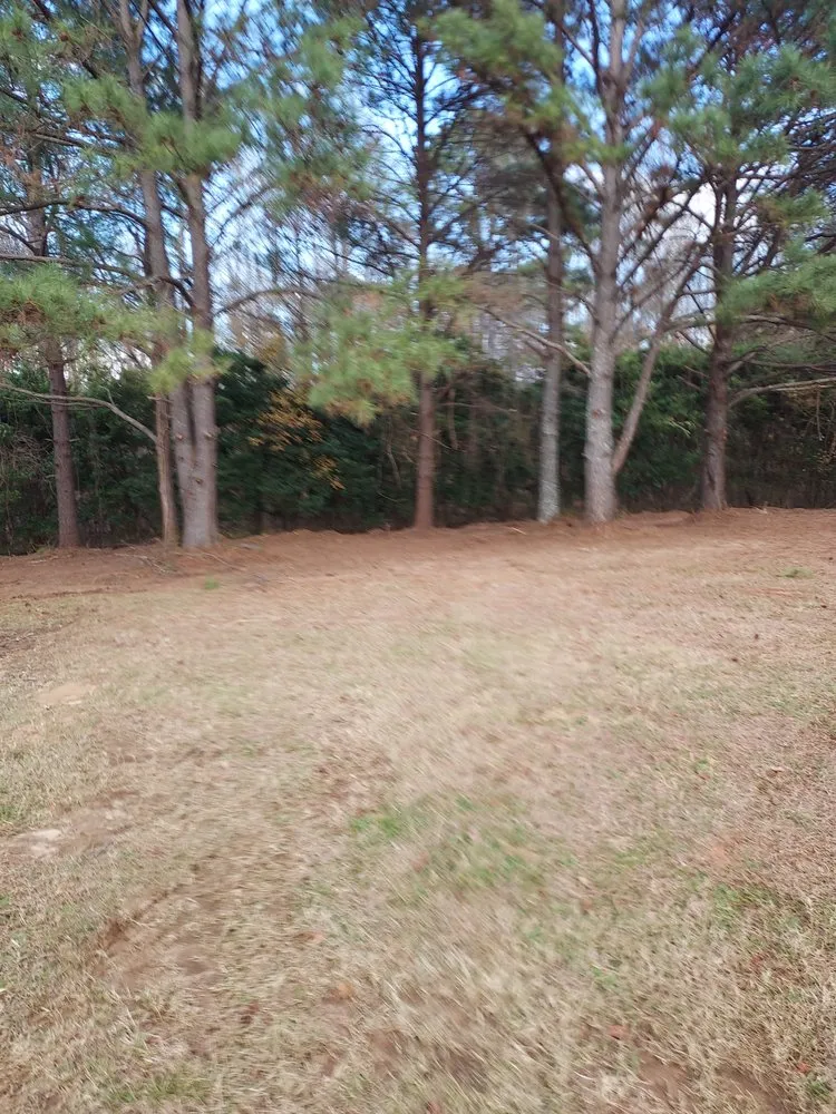 Expert outdoor landscaping with custom design in Barnesville, GA by AR Property Solutions