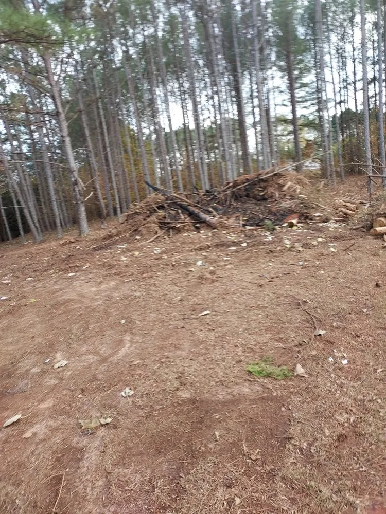 Professional yard maintenance in Barnesville, GA by AR Property Solutions