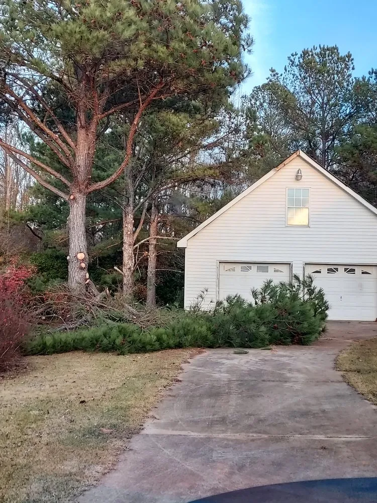 Top-rated garden landscaping for outdoor upgrades in Barnesville, GA by AR Property Solutions