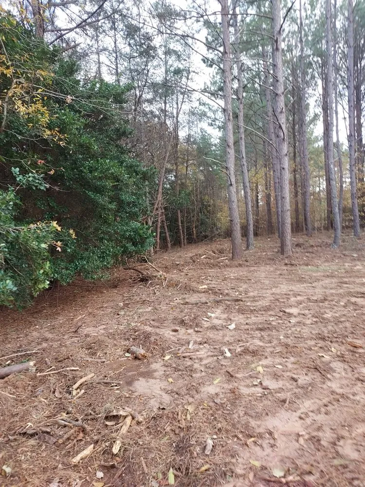 Local outdoor landscaping for outdoor upgrades in Barnesville, GA by AR Property Solutions