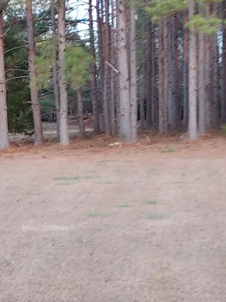 Professional yard cleanup service near you across Barnesville, GA - AR Property Solutions