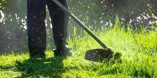Local yard maintenance for homes in Charleston, SC by A&R Residential Services