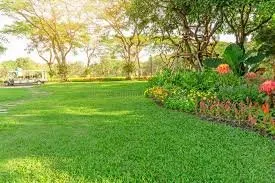Expert landscape design in Charleston, SC by A&R Residential Services