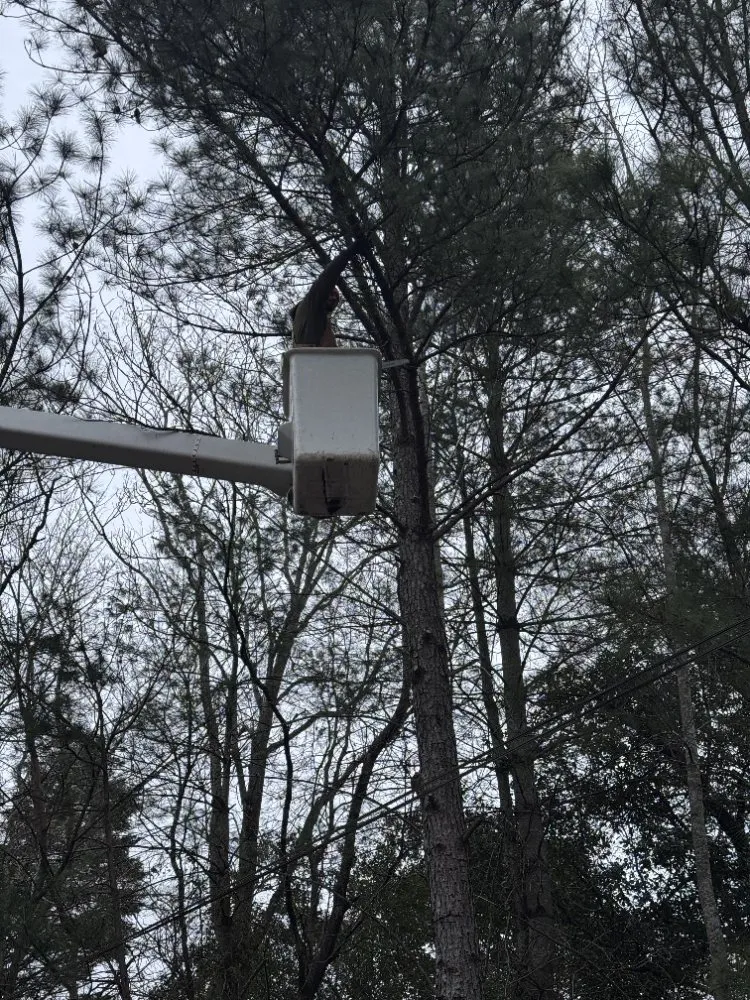 Reliable garden landscaping for beautiful yards across Spartanburg, SC - A&R Top Branch Solutions