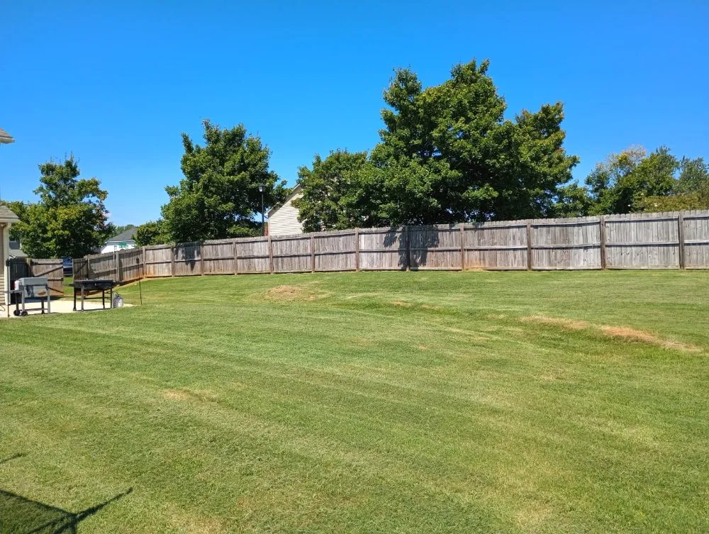 Reliable landscaping services experts serving Spartanburg, SC - A&R Top Branch Solutions