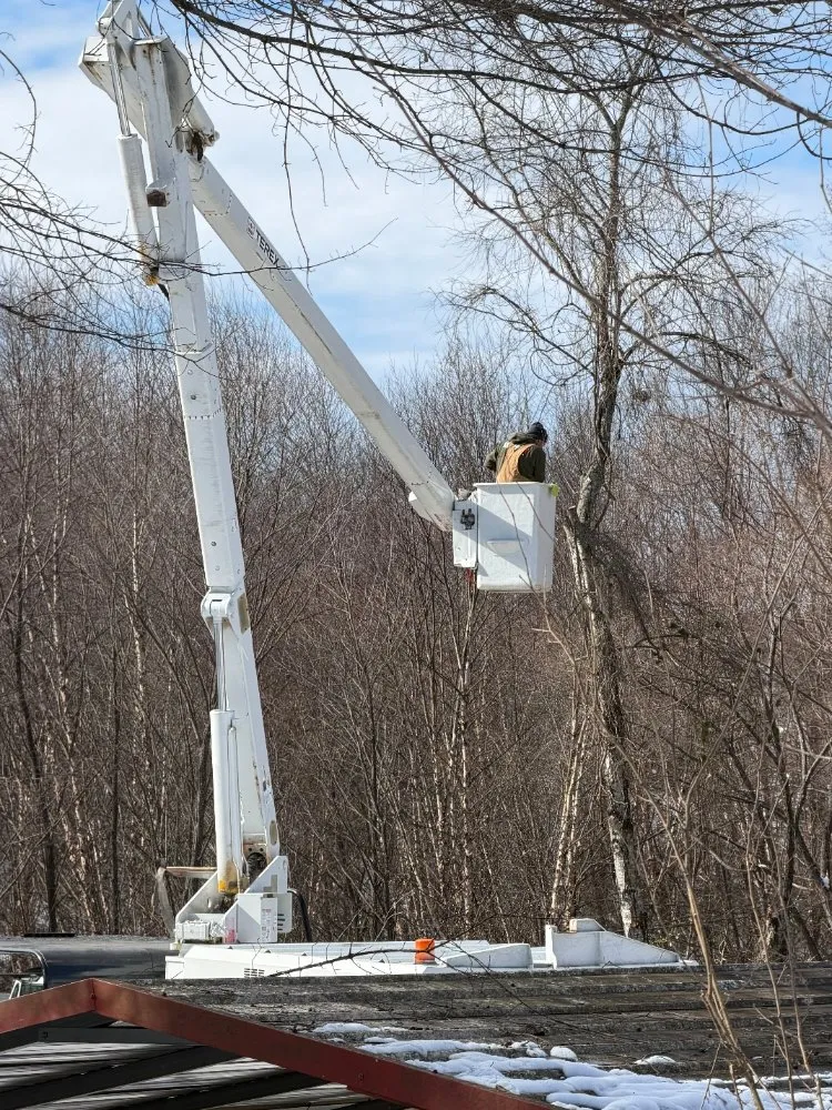 Trusted lawn care service in Spartanburg, SC by A&R Top Branch Solutions