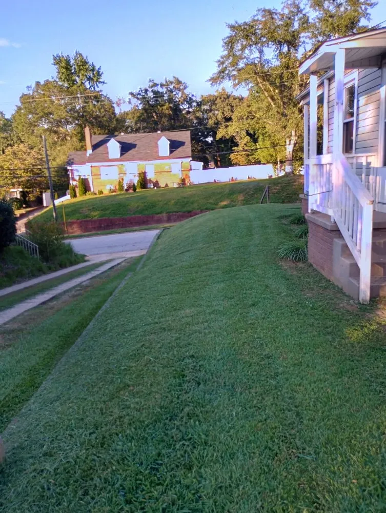 Reliable yard cleanup service in Spartanburg, SC - A&R Top Branch Solutions