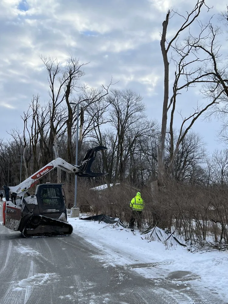 Custom lawn care service in Kankakee, IL by A&R Tree and Demolition Service