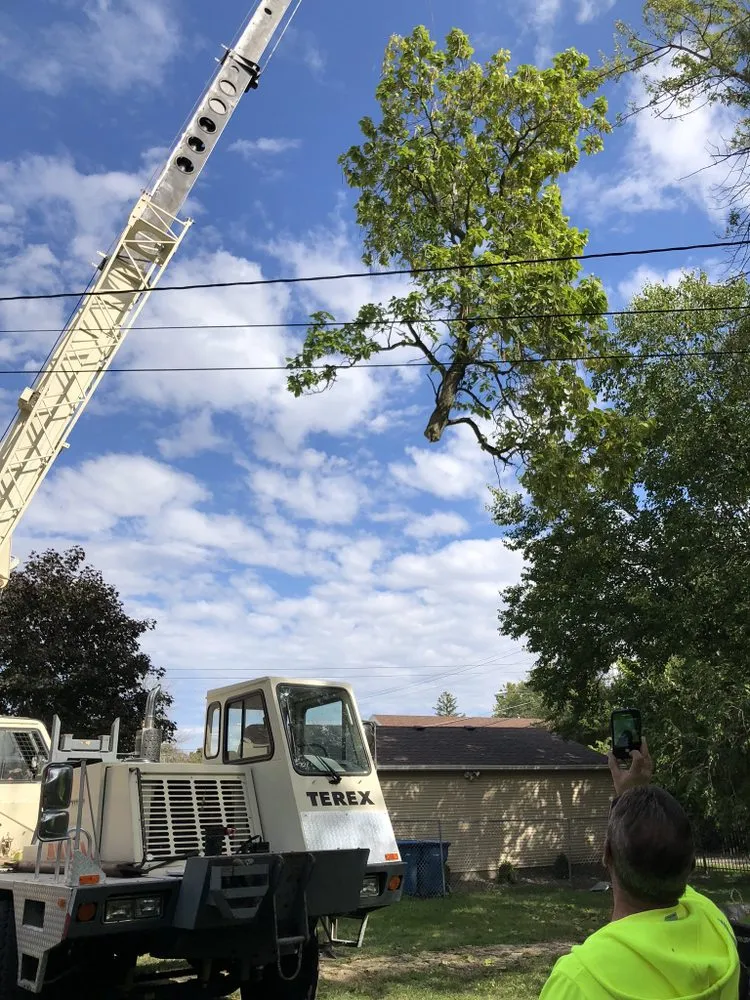 Expert landscape installation in Kankakee, IL by A&R Tree and Demolition Service