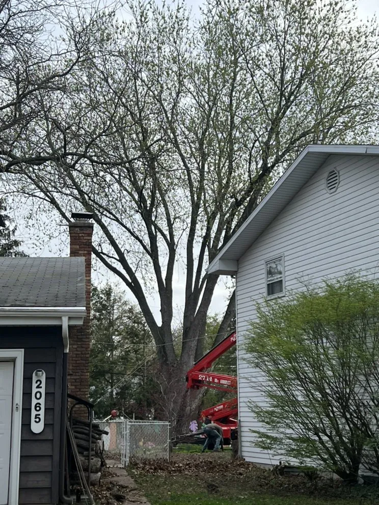 Top-rated landscape installation for beautiful yards in Kankakee, IL by A&R Tree and Demolition Service