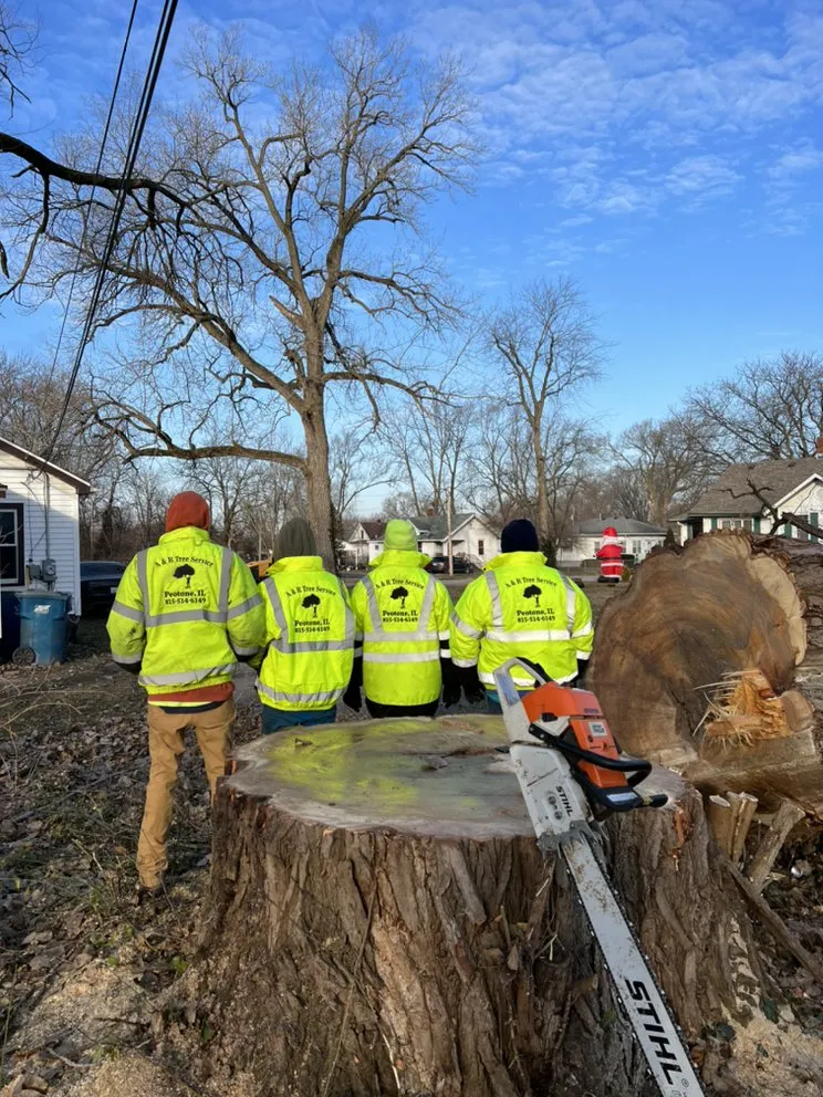 Top-rated landscaping services in Kankakee, IL by A&R Tree and Demolition Service