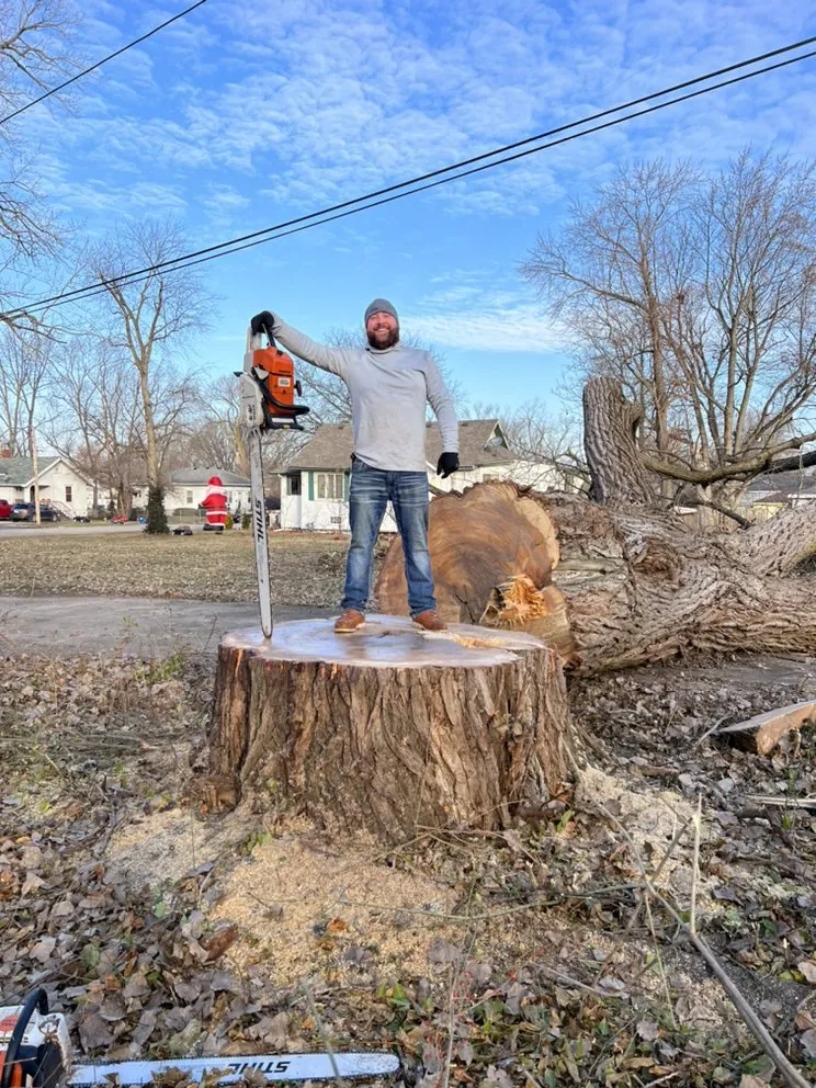 Professional landscape design in Kankakee, IL - A&R Tree and Demolition Service