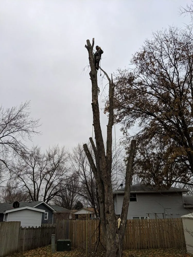 Custom yard maintenance in Kankakee, IL by A&R Tree and Demolition Service