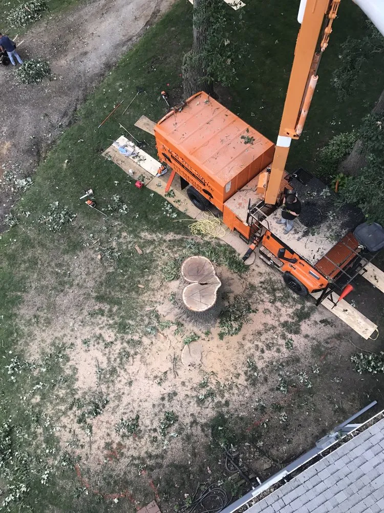 Reliable lawn care service in Kankakee, IL by A&R Tree and Demolition Service