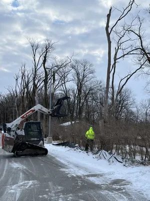 A&R Tree and Demolition Service