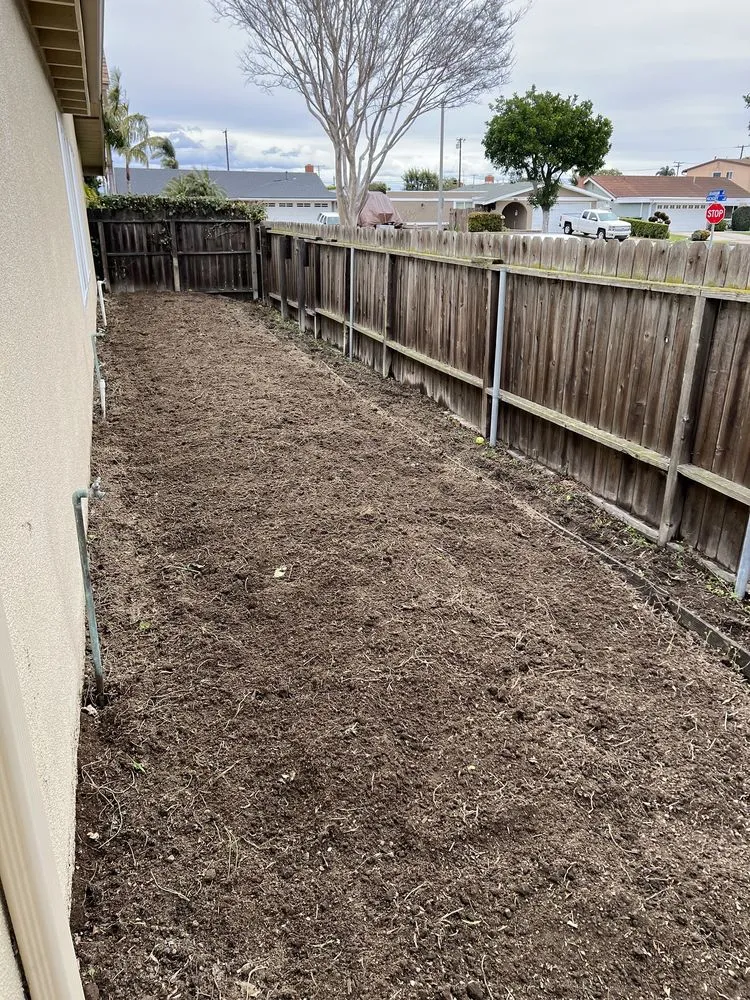 Professional yard cleanup service for year-round maintenance in Anaheim, CA by AR Tree Service & Landscape