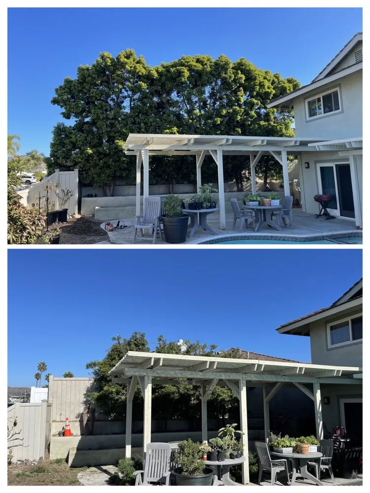 Trusted yard maintenance experts serving Anaheim, CA - AR Tree Service & Landscape