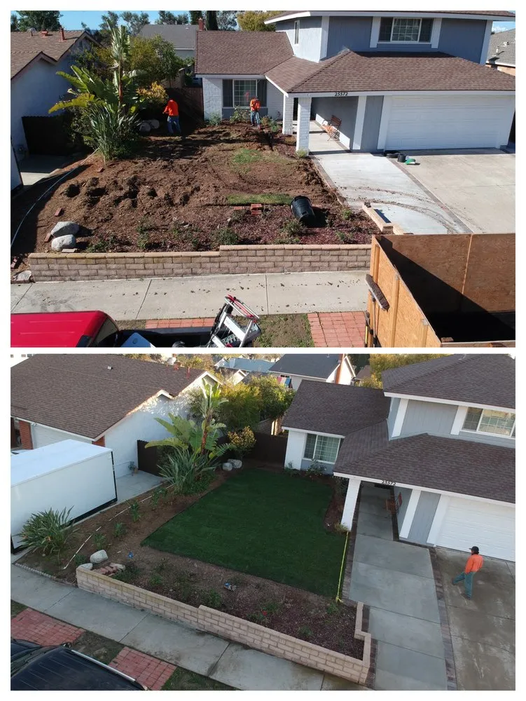 Top-rated yard maintenance experts serving Anaheim, CA - AR Tree Service & Landscape