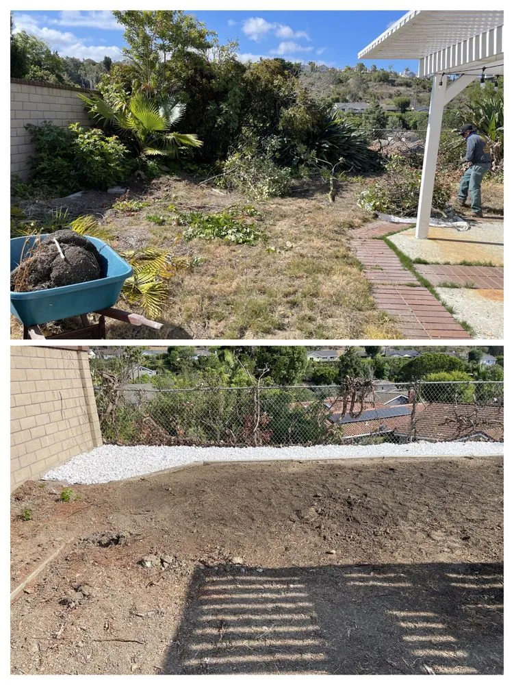 Top-rated landscape installation with custom design in Anaheim, CA by AR Tree Service & Landscape
