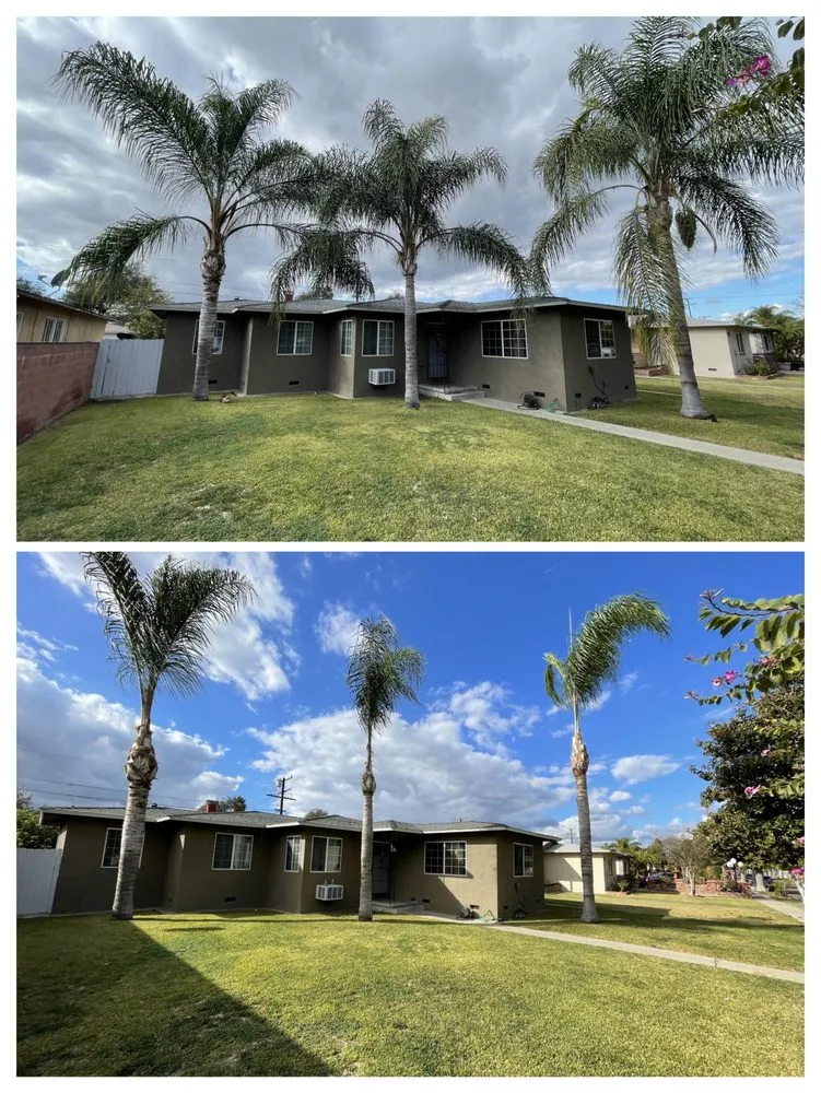 Local yard maintenance for homes across Anaheim, CA - AR Tree Service & Landscape