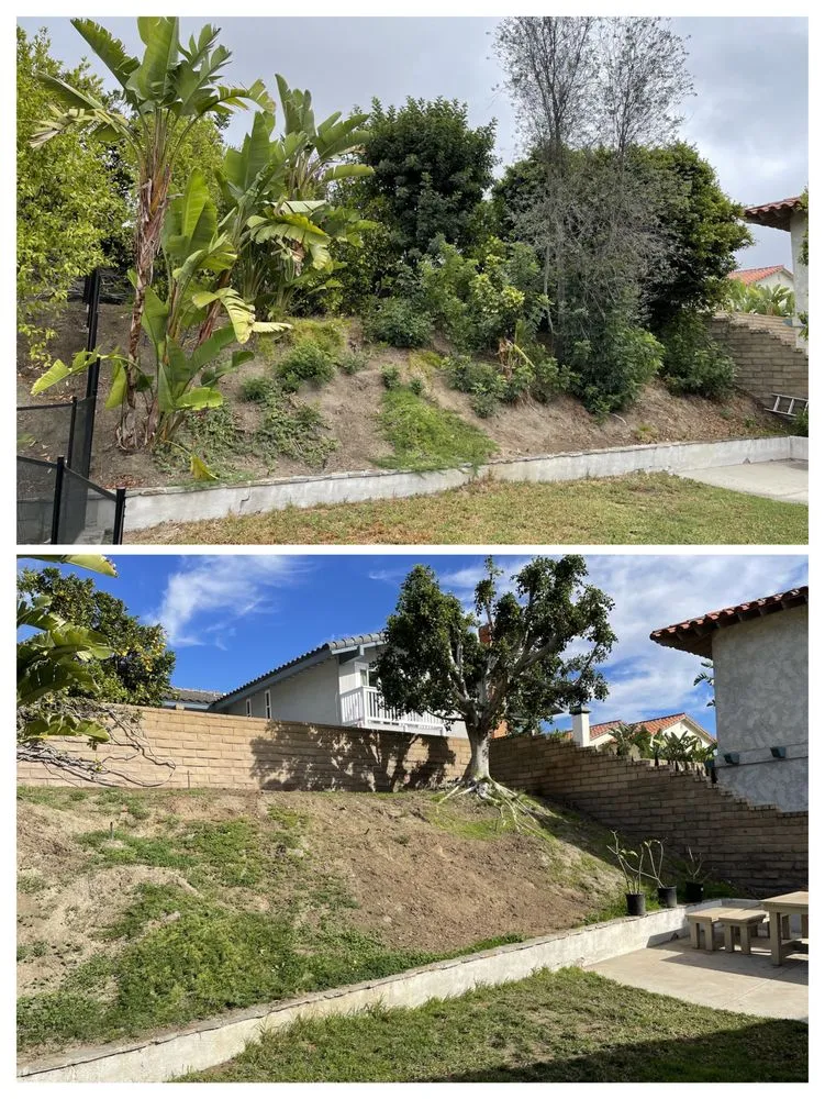 Professional yard cleanup service in Anaheim, CA - AR Tree Service & Landscape