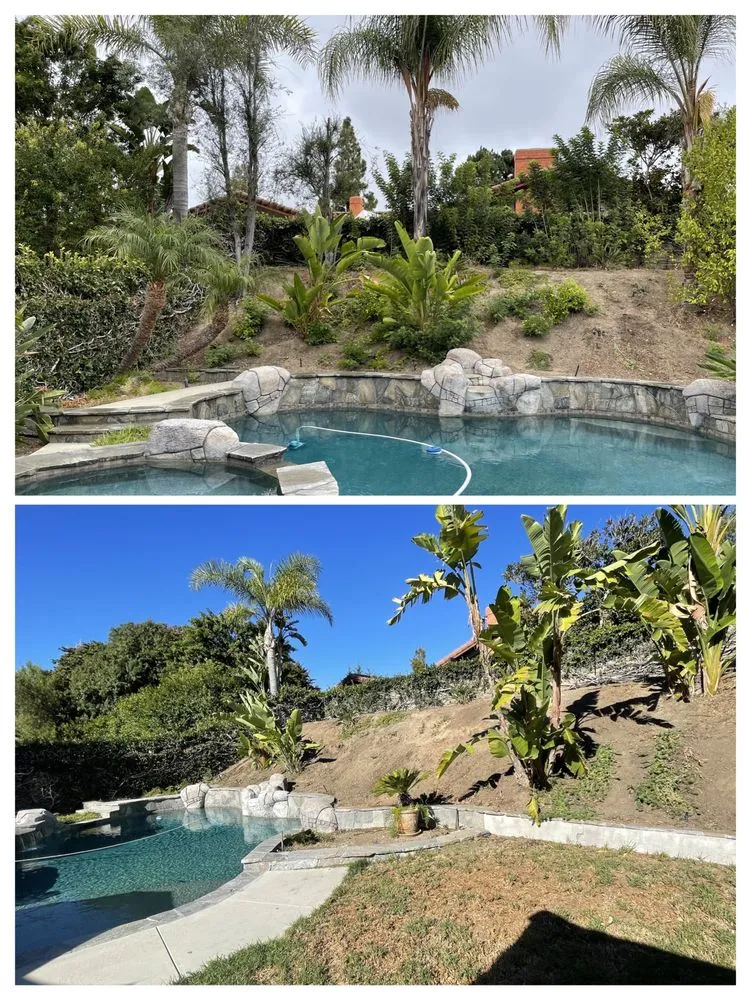 Local lawn mowing service experts serving Anaheim, CA - AR Tree Service & Landscape