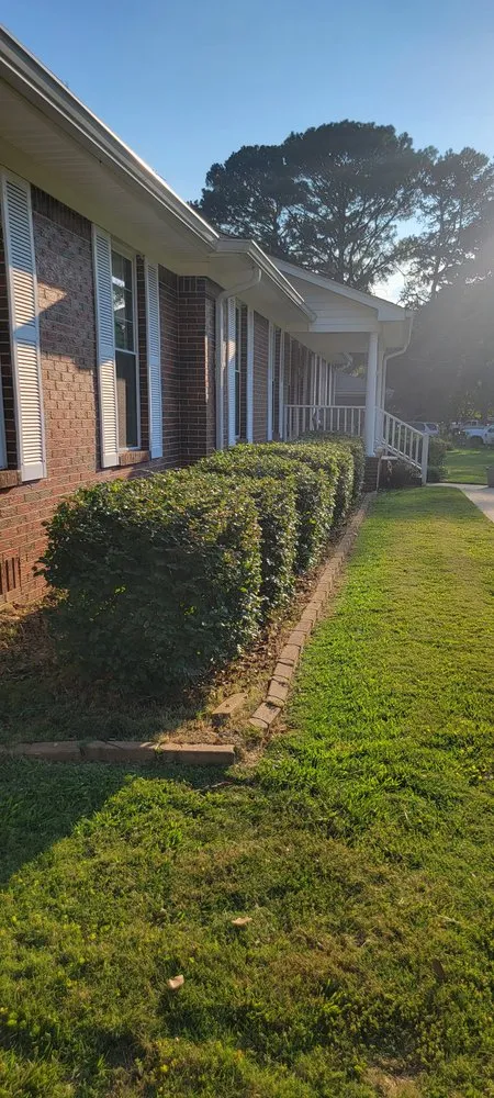 Local yard cleanup service in Mulga, AL - A&R Turf