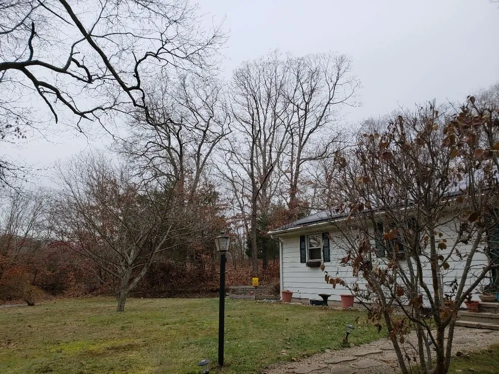 Professional lawn mowing service with custom design across East Haddam, CT - ARA Property Care